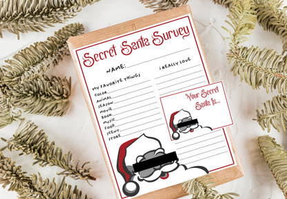 Secret Santa Questionnaire - Digital Questionnaire Printable